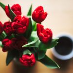 油猴浏览器官网:探索高效脚本管理与个性化浏览体验 3t27sgt