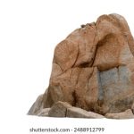 漫蛙漫画app下载官方免费,畅享海量优质漫画资源 pzkxnbr