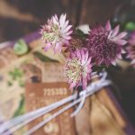 沈娜娜与韩棠的青春故事:友谊与成长的旅程 s40im7hj