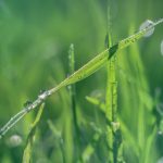 油管官网入口youtube:轻松访问全球最受欢迎的视频平台指南 s9lt6bbco