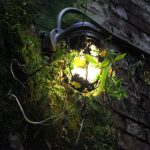 漫蛙漫画官方版:畅享海量优质漫画,尽在指尖阅读! sdzff50i