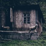 油管官网网站:探索全球视频分享平台的无限可能与精彩内容 wp12q