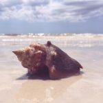 畅享首播影院在线观看,尽览最新影视盛宴 aqfki5n8