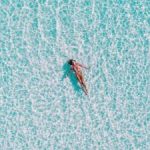 畅享风车动漫在线观看,尽情体验精彩动画世界 h68v17