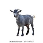 畅享高清影视:推荐十大在线观看网站免费资源 rm2or3mxc