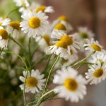 畅享高清动漫在线观看,尽情体验精彩剧情与画面 yz70a